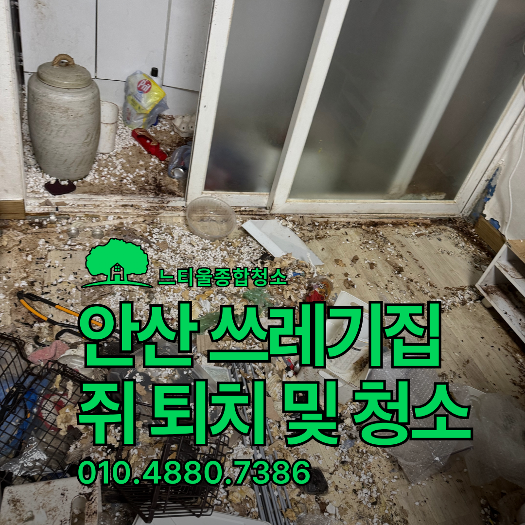 안산쓰레기집청소 쥐 점령 주거공간, 안산특수청소 전 과정 기록